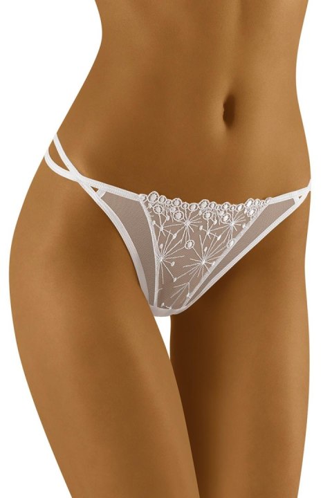 Stringi Model Maracca White - Wolbar Wolbar